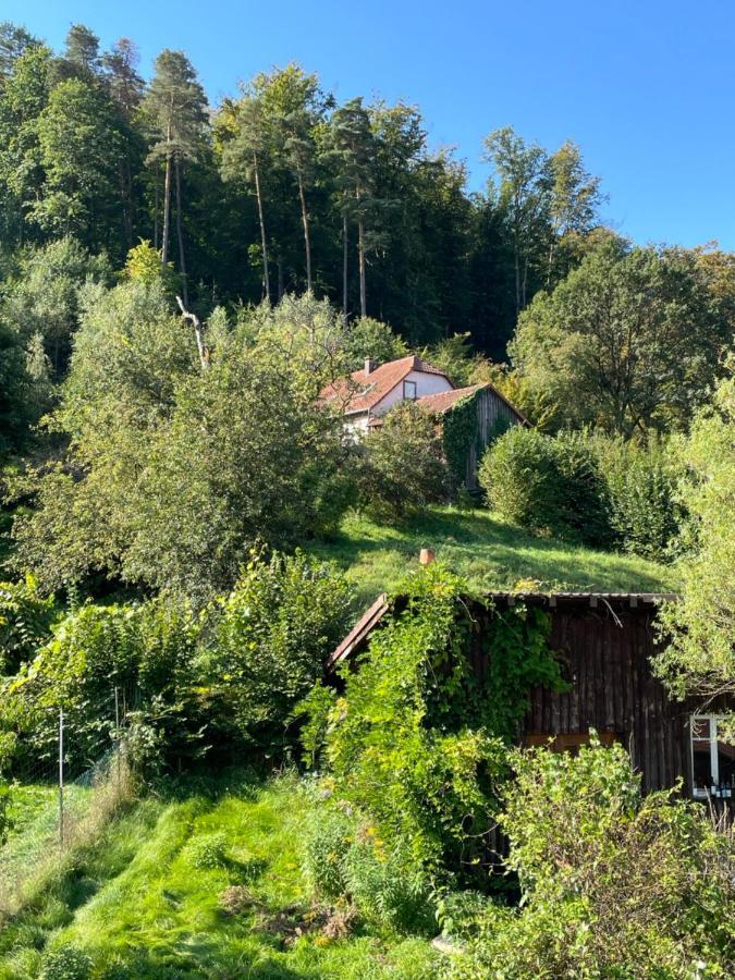 Mon Refuge En Vasgovie Apartamento Meisenthal Exterior foto