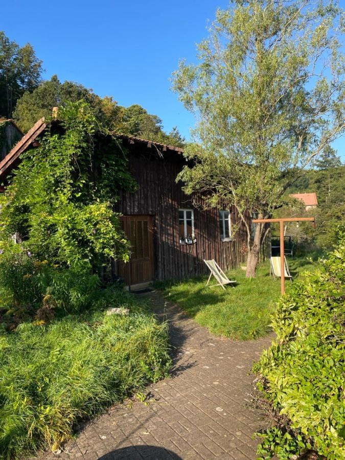 Mon Refuge En Vasgovie Apartamento Meisenthal Exterior foto